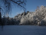 Nonnenfelsen