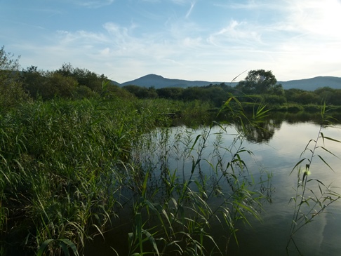 Lausche bei Waltersdorf