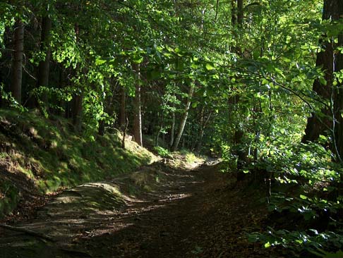 Wandern durchs Zittauer Gebirge